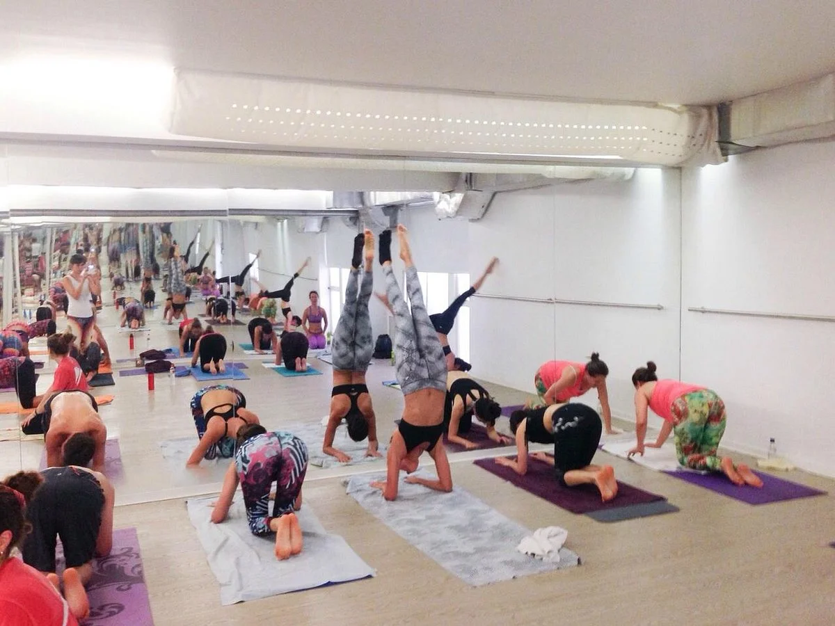 Evolation Yoga Colombia