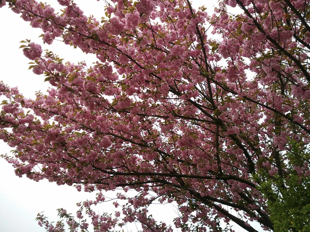 Suzhou West Hill Scenic Area