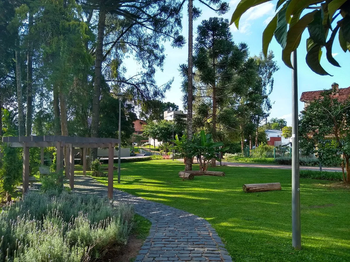 Bosque LuIsa Bueno Gomm