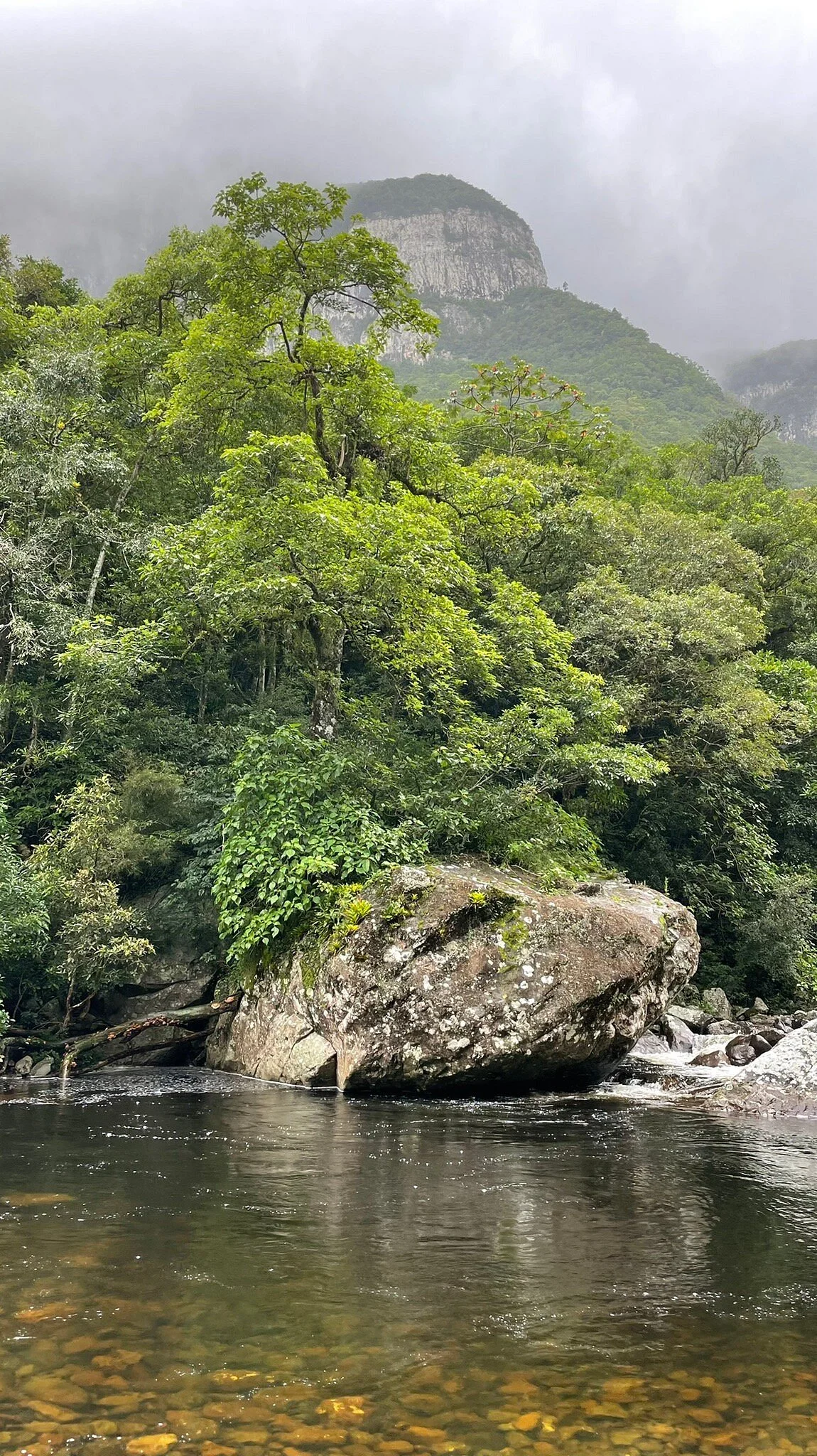 Trilha Do Tigre Preto