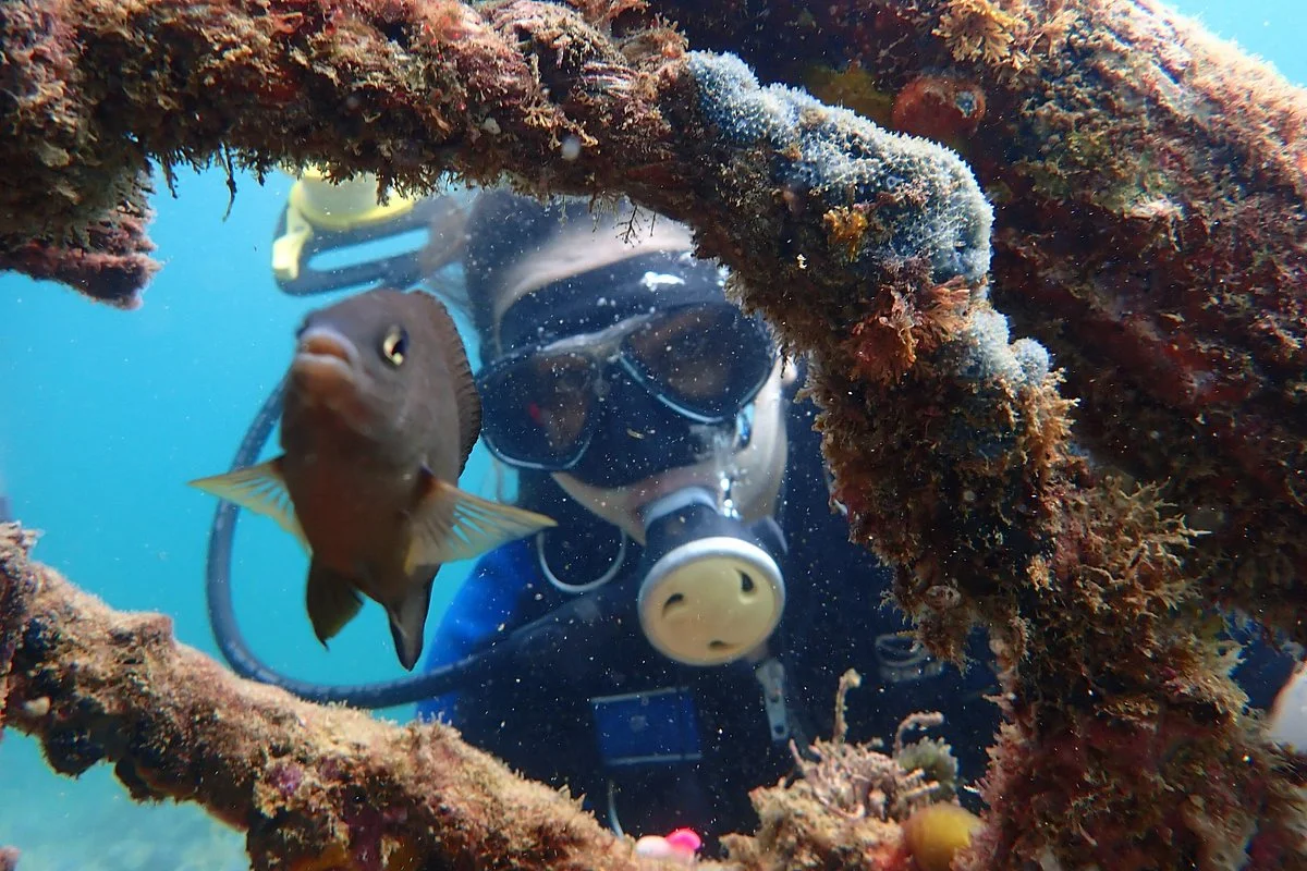 Mundial Scuba escola e operadora de mergulho