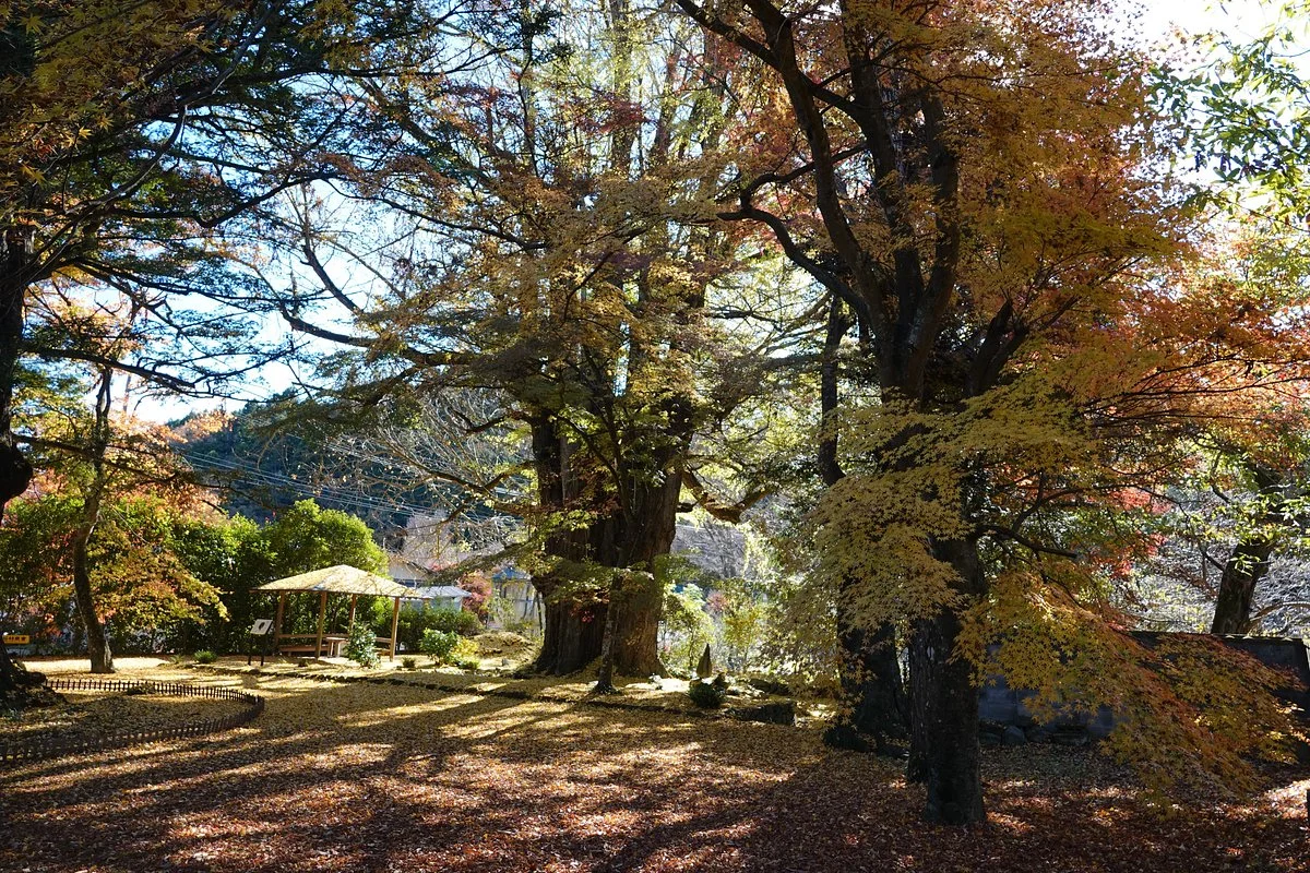 Horyu-ji Temple