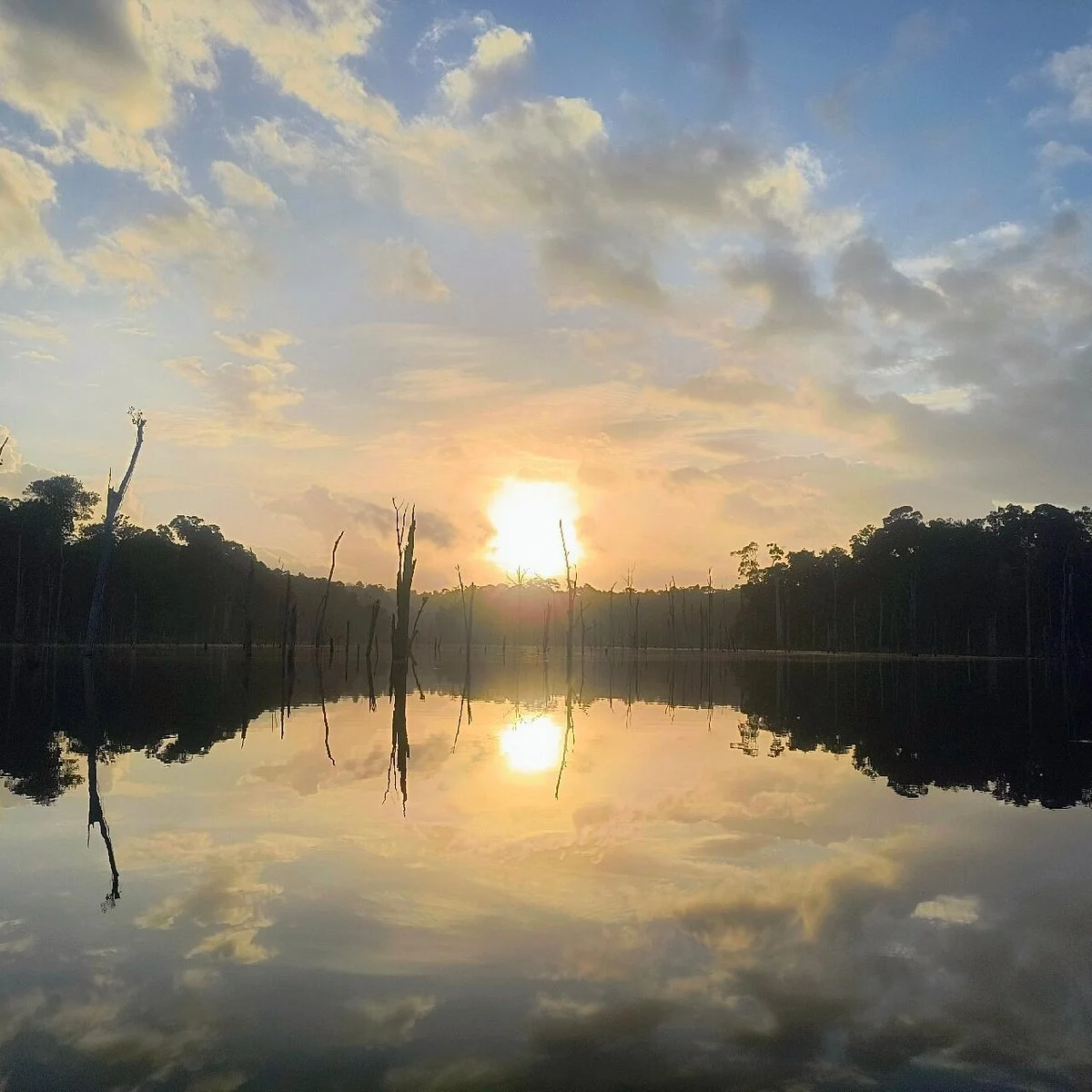 Nature de Guyane