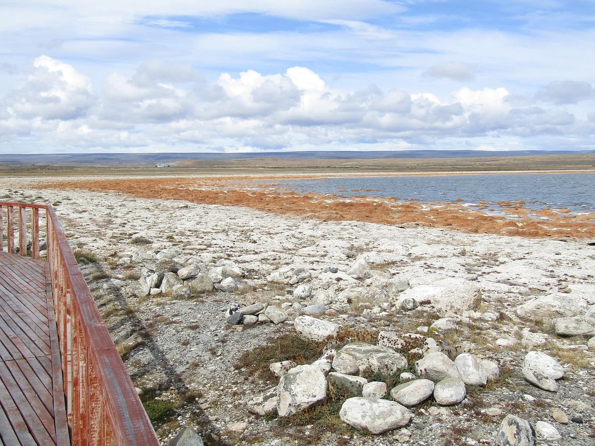 Laguna De Los Cisnes