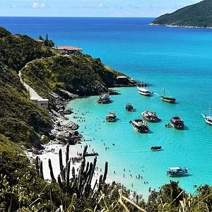 Surf Bus Beach Tour