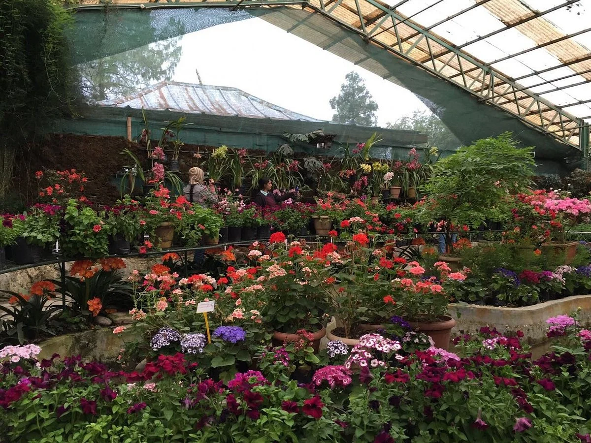 Flower Exhibition Centre