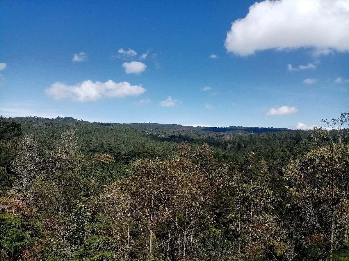 Parque Comfama Arví