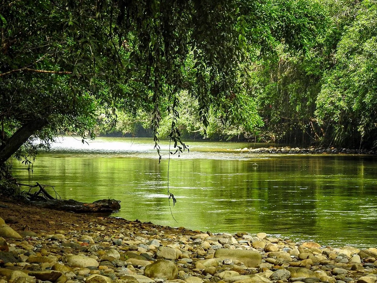 Reserva Agroecológica Los Monos