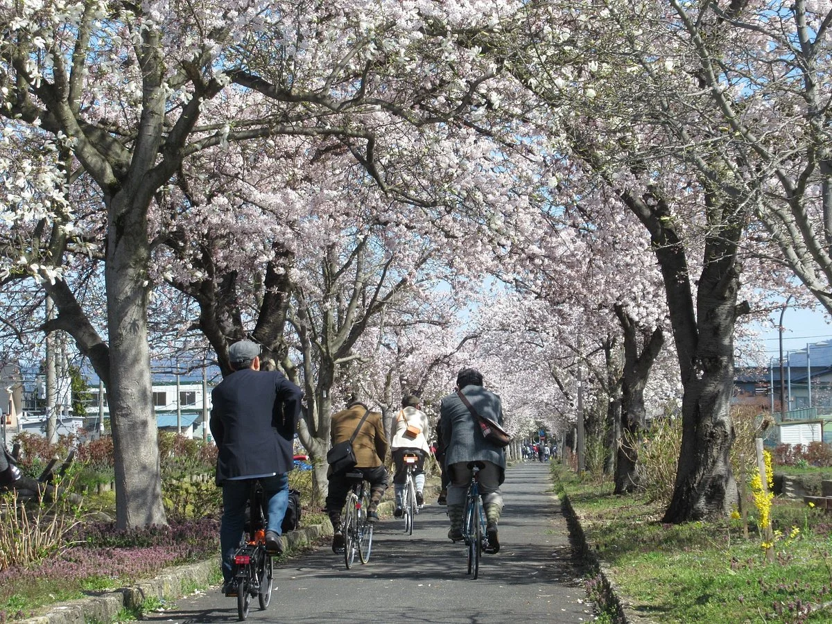Mahoroba no Ryokudo