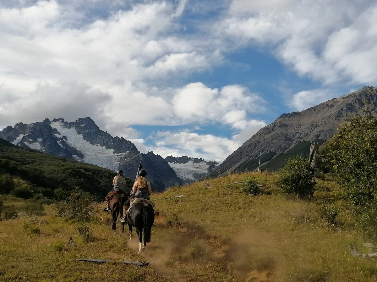 Patagonia Campera