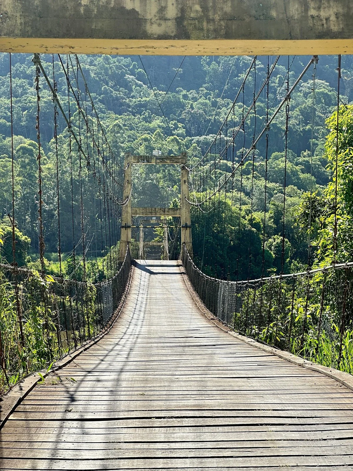 Ponte Pênsil Warnow