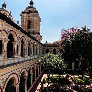 Travelea peru