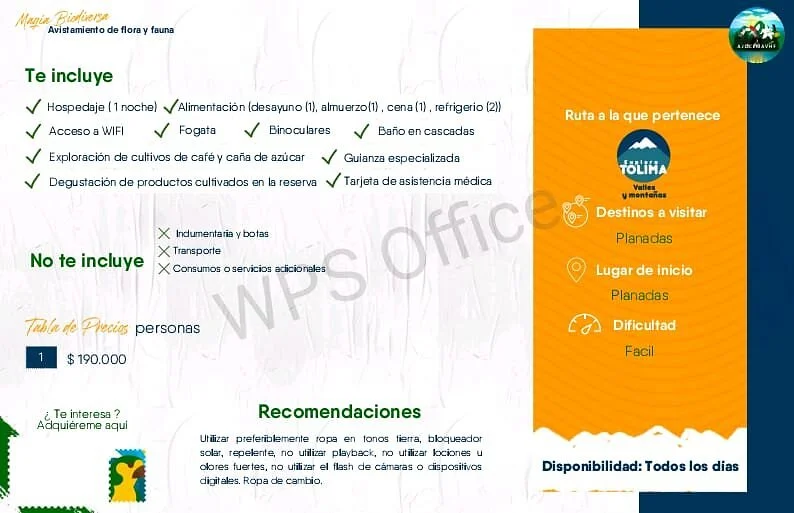 Asociación De Jóvenes