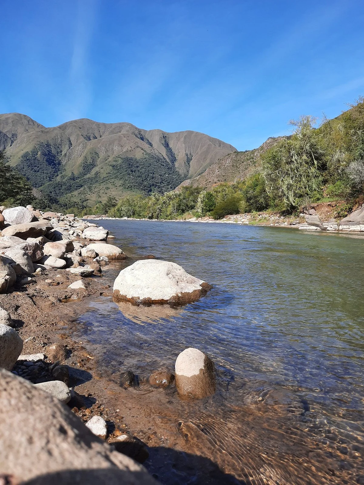 Río Toldos