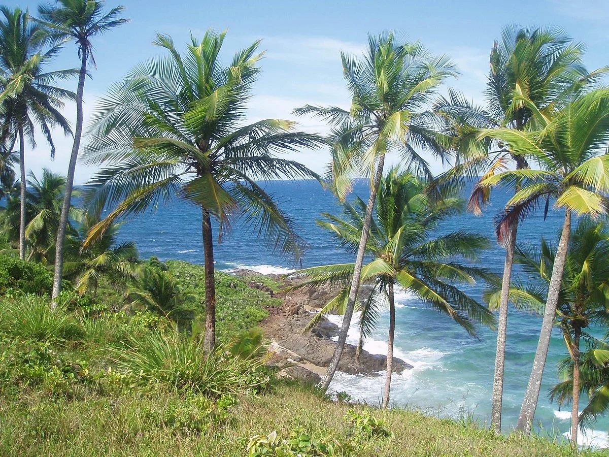 Augusto Ecoturismo