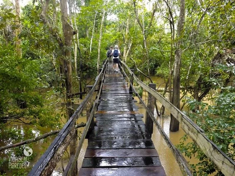 José Coelho Turismo