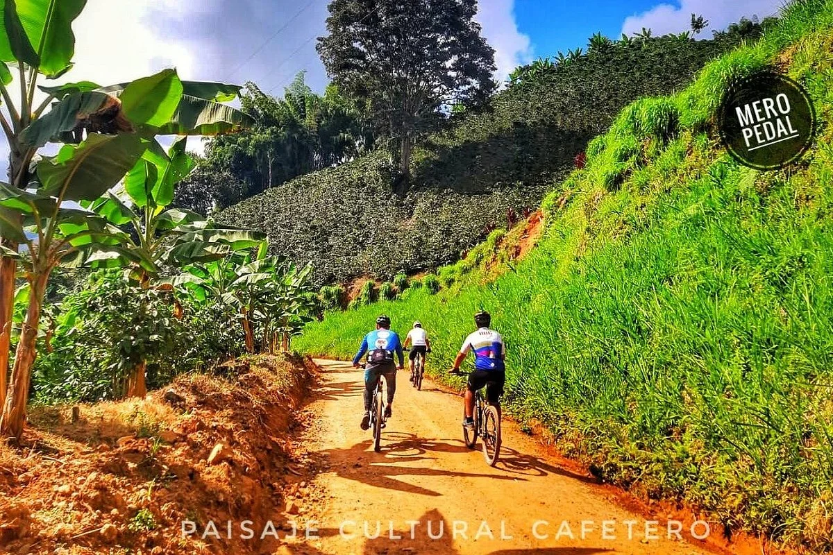 Meropedal Colombia