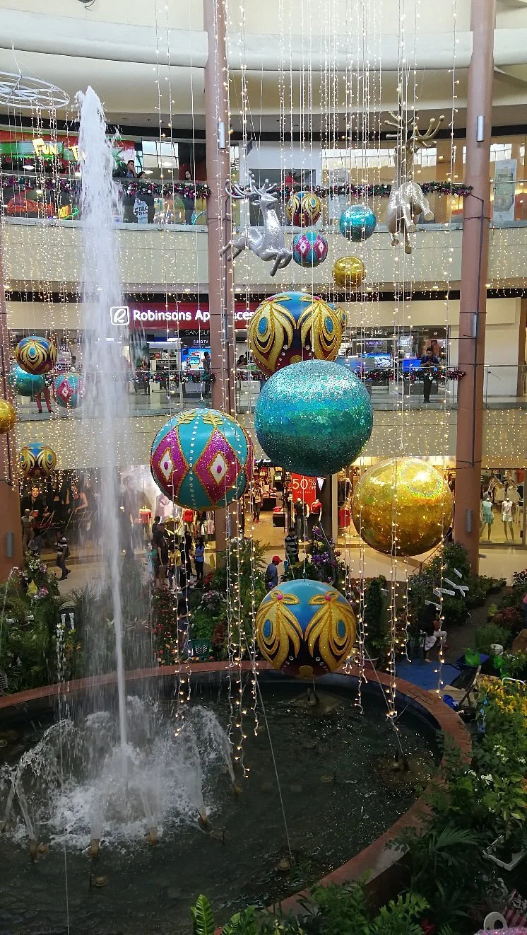 Robinson's Place