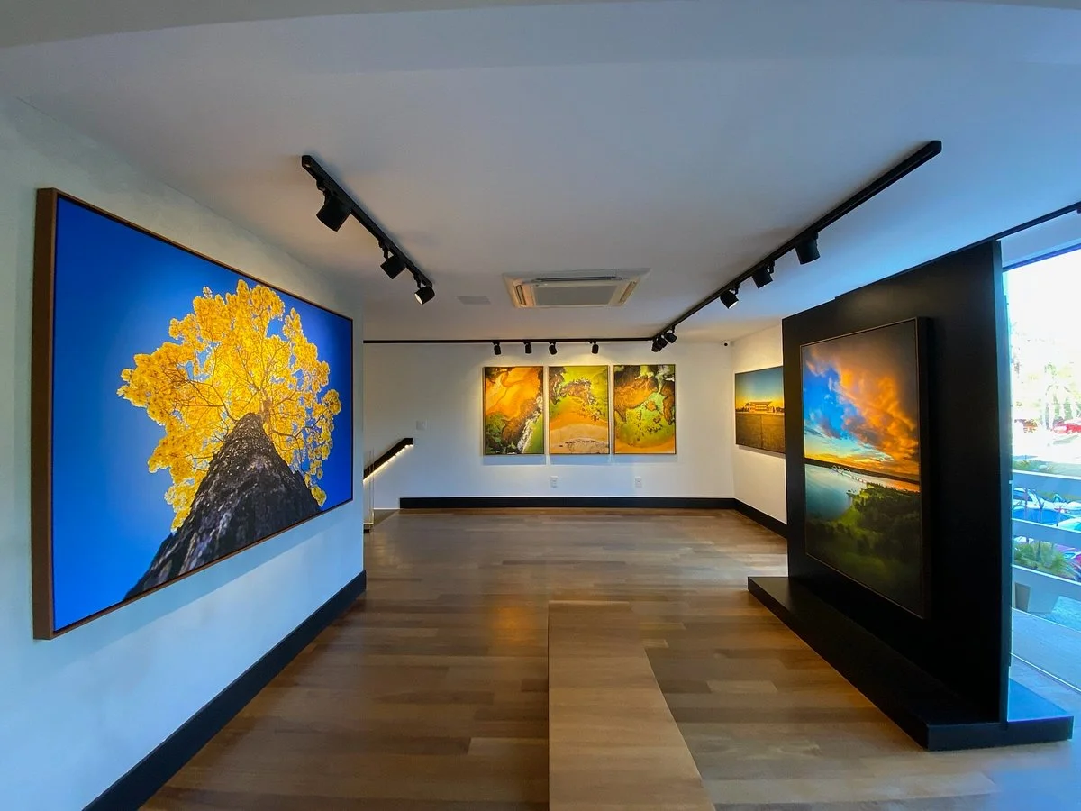 Bento Viana Galeria