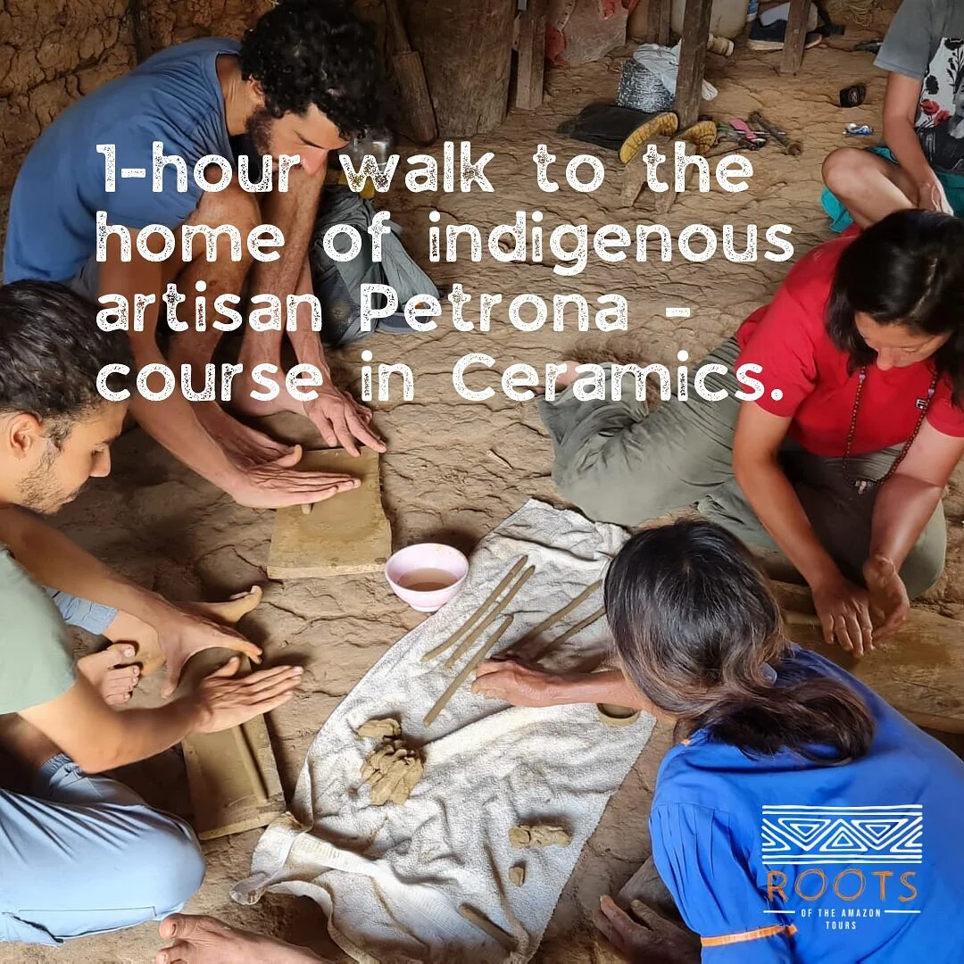 Roots Of The Amazon