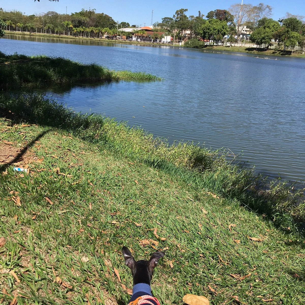 Parque Municipal Lago Dos Biris