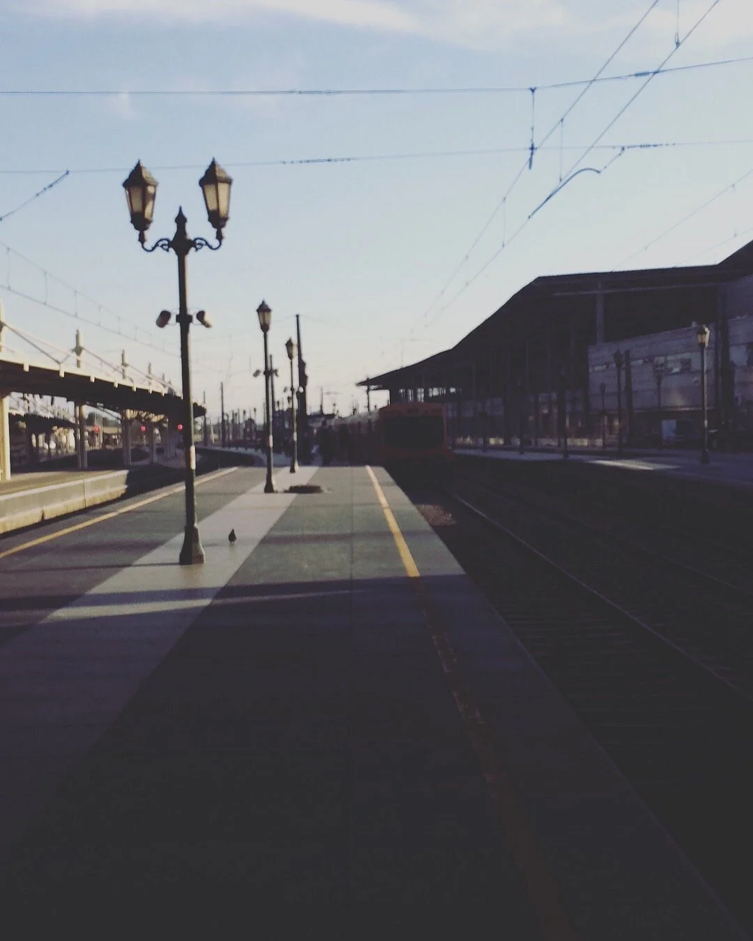 Tren Sabores del Maule