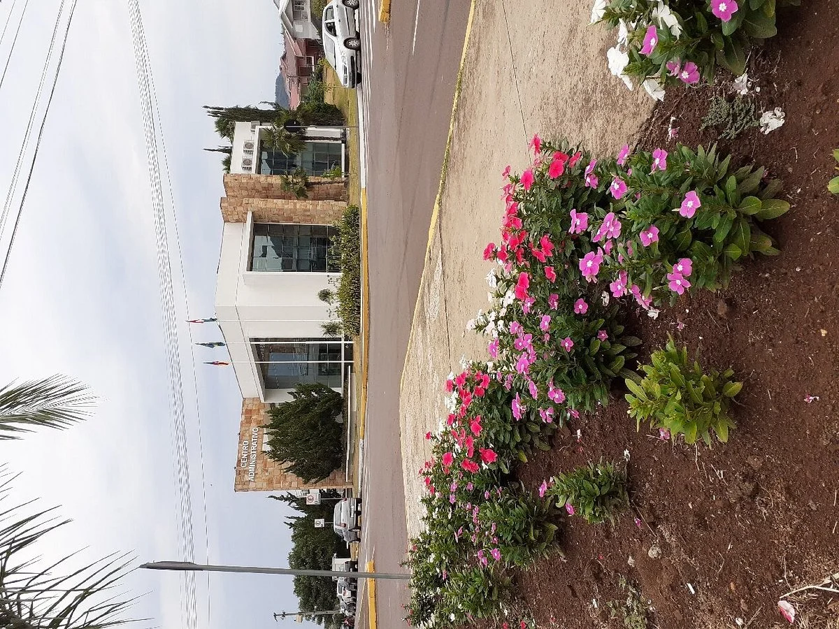 Prefeitura Municipal De Santa Clara Do Sul