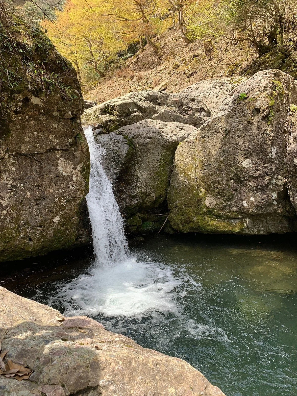 Ase Valley