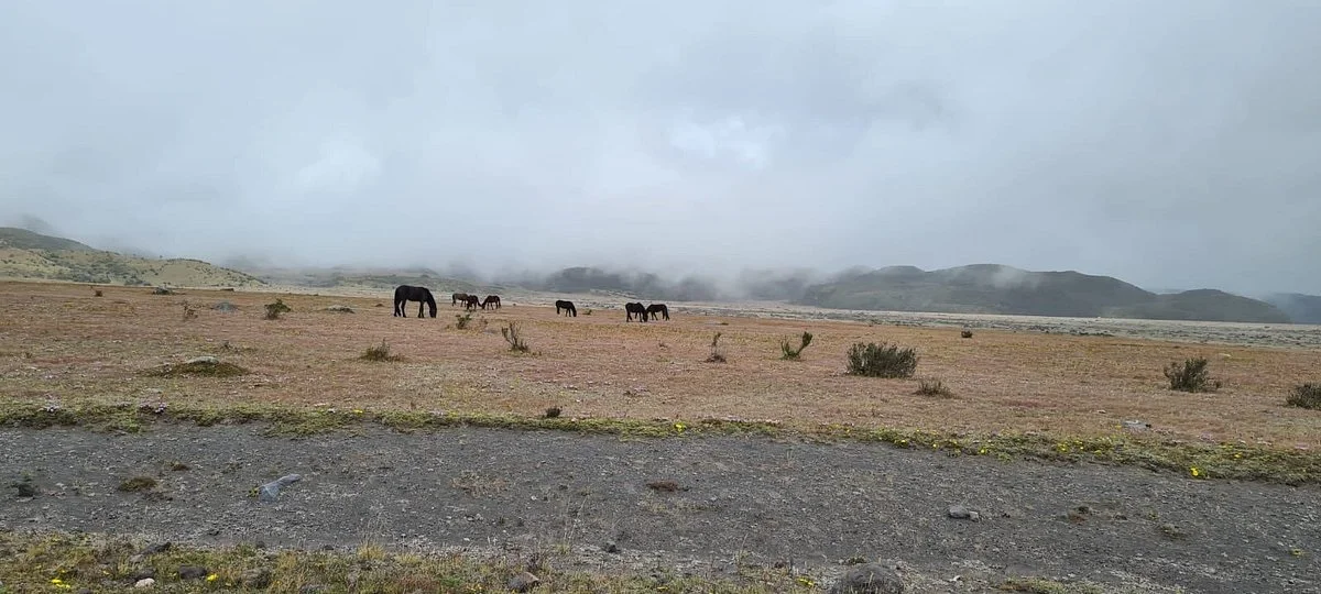 Journey Ecuador