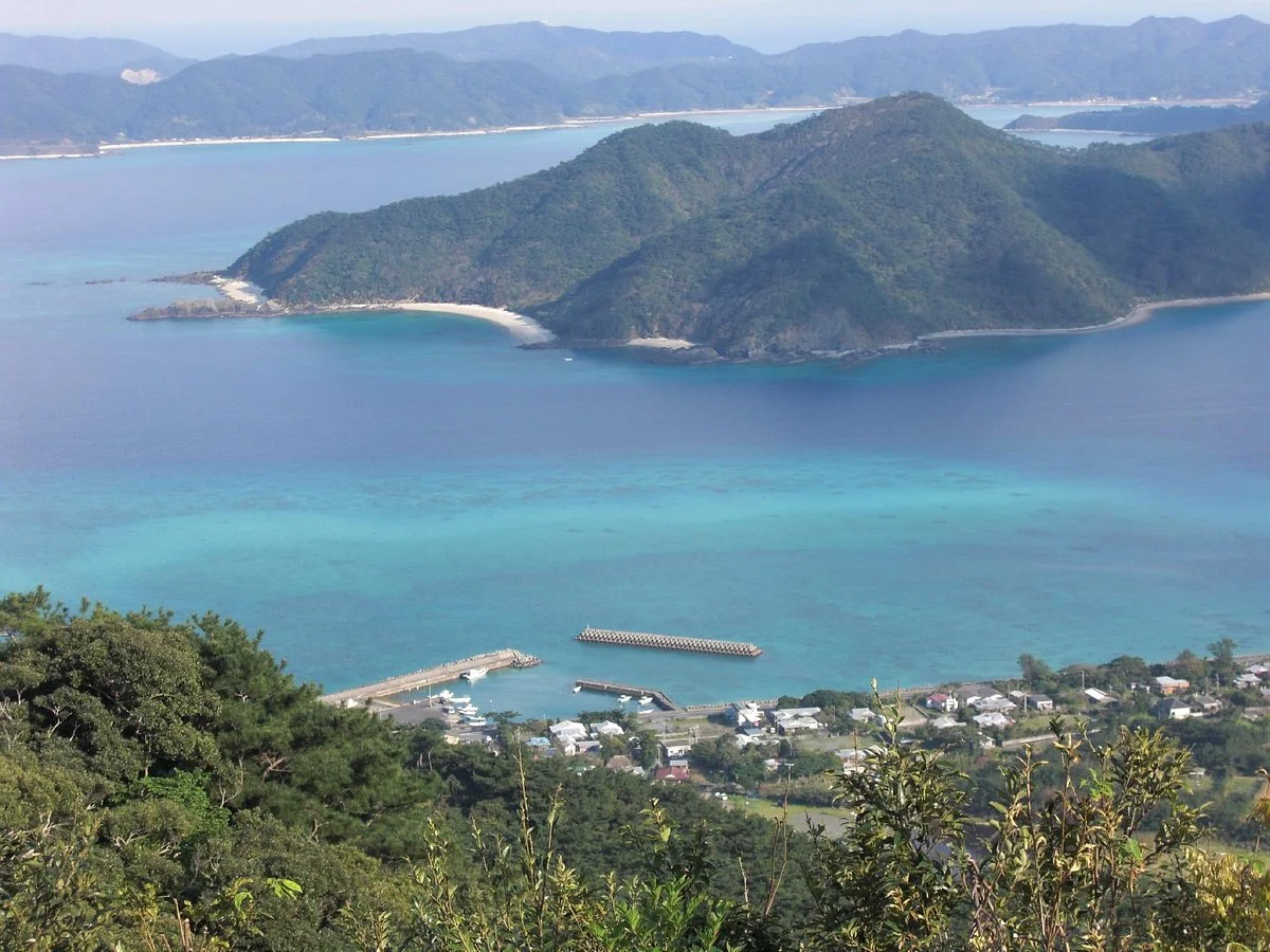 Amami Nature Observation Forest