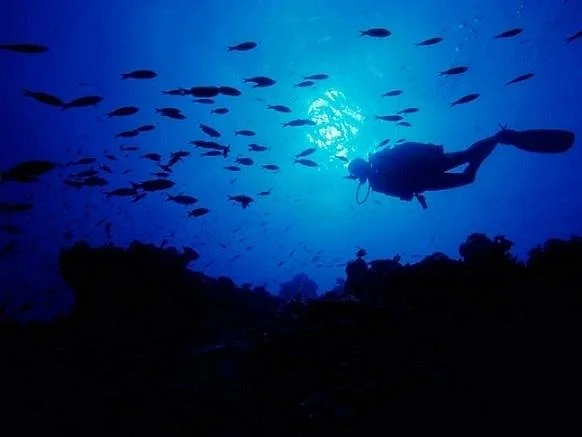 MAREAS Escuela de Buceo