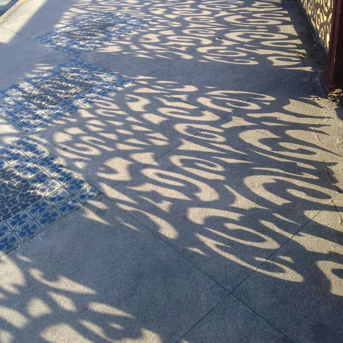 Ponte 6 De Março