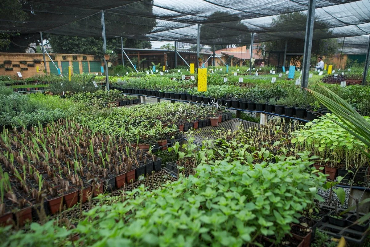 Sabor de Fazenda