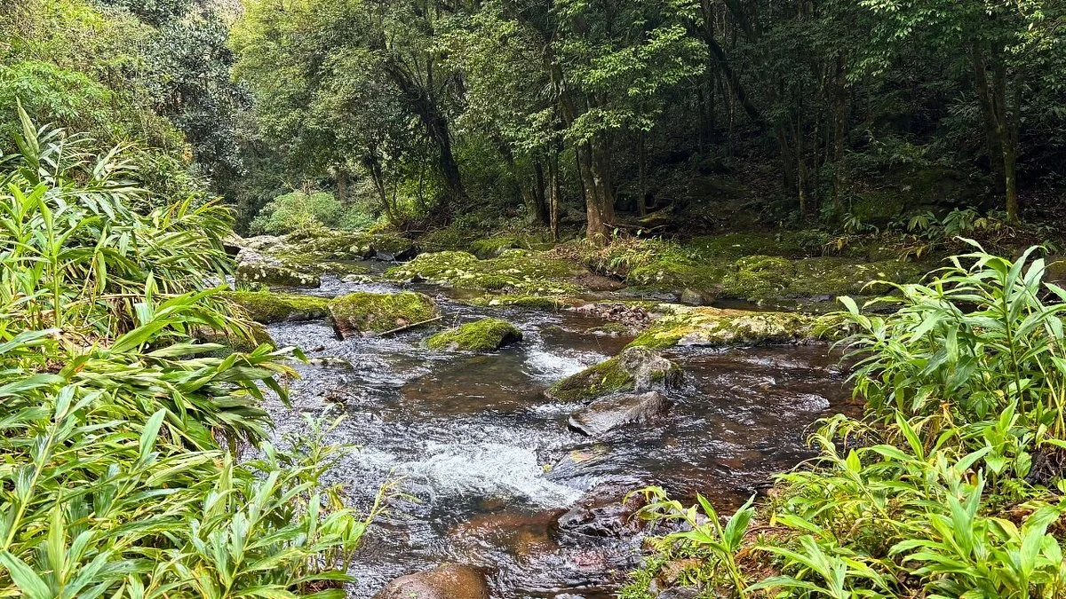 Cascata do Paredão