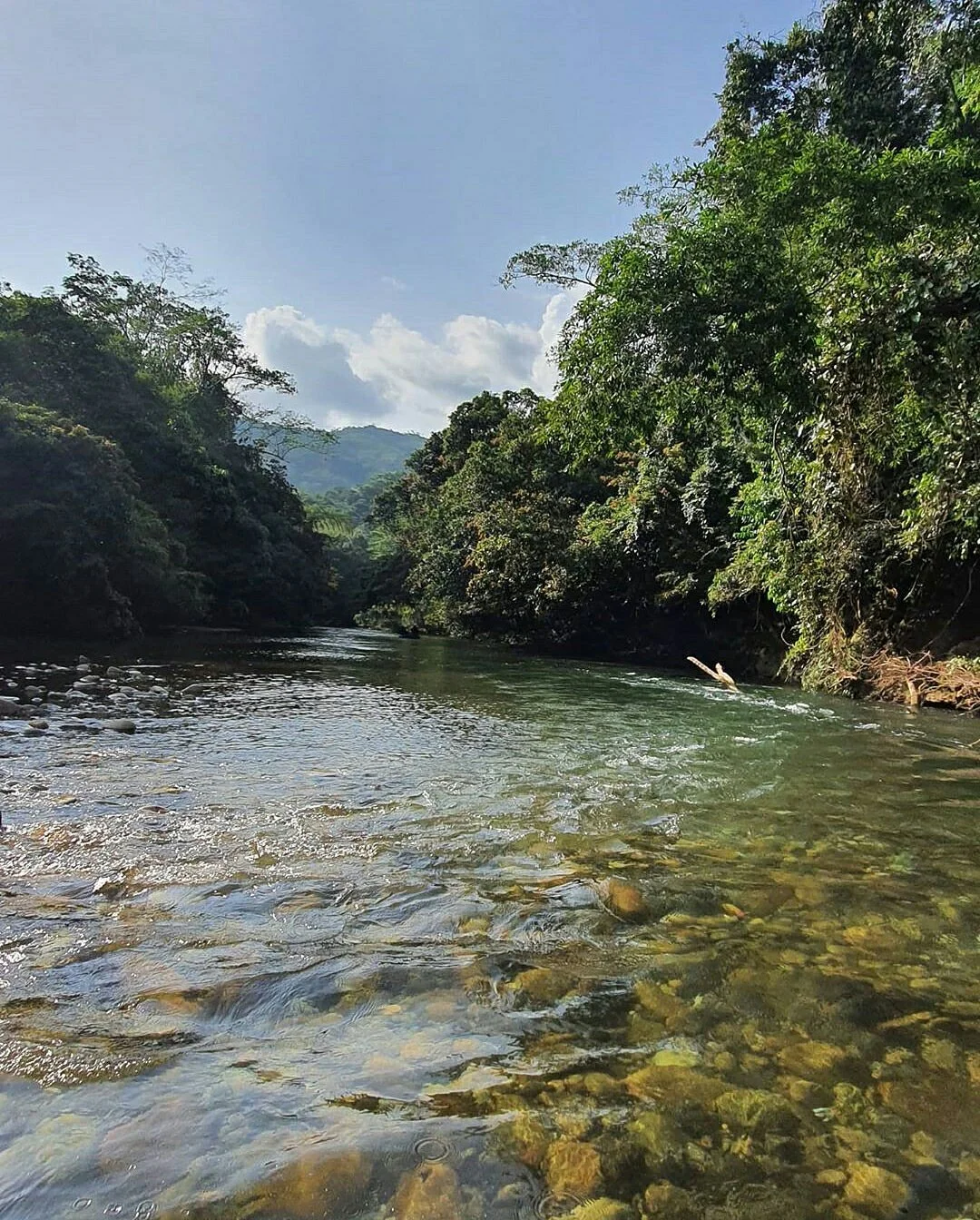 Doradal Antioquia Los Nómadas