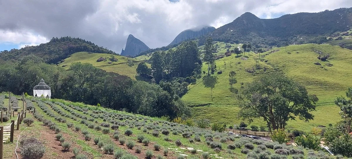 Lavandário Pedra Azul