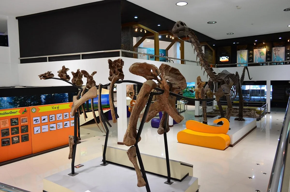 Phu Wiang Dinosaur Museum
