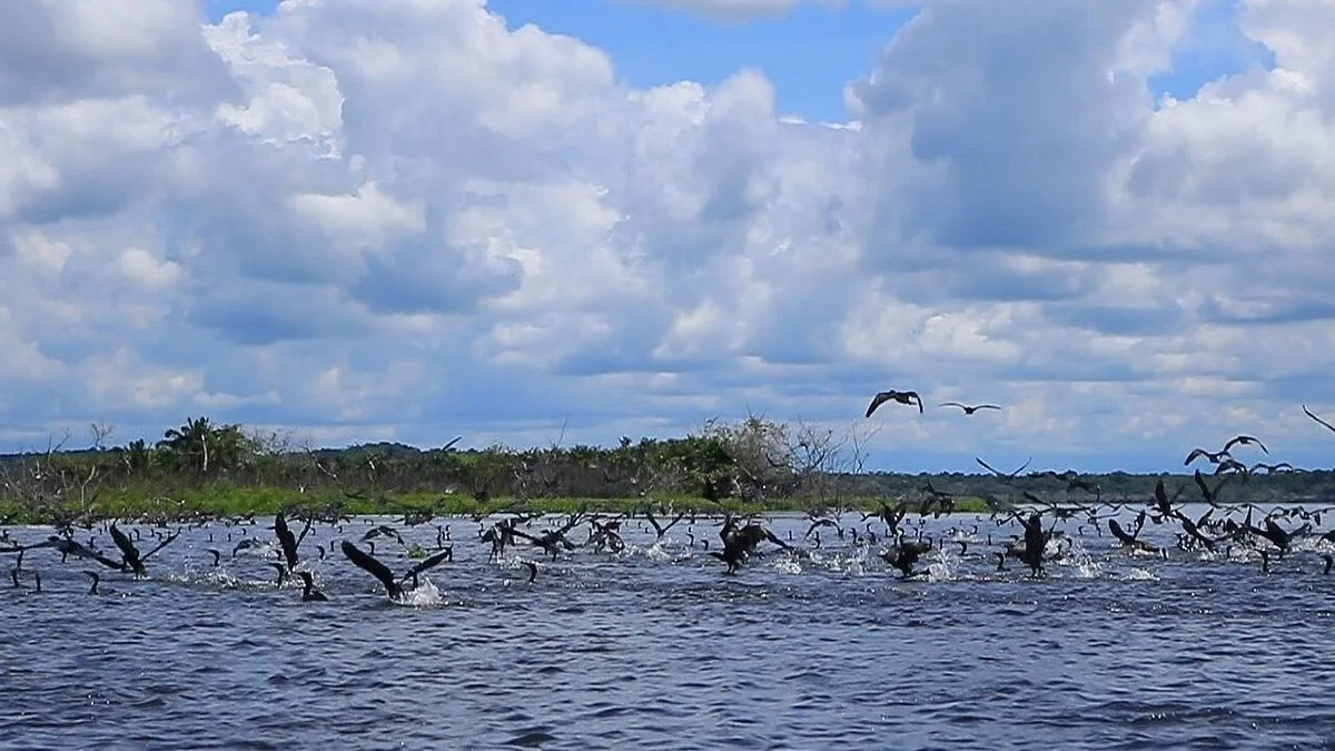 Eco Travels Sabana