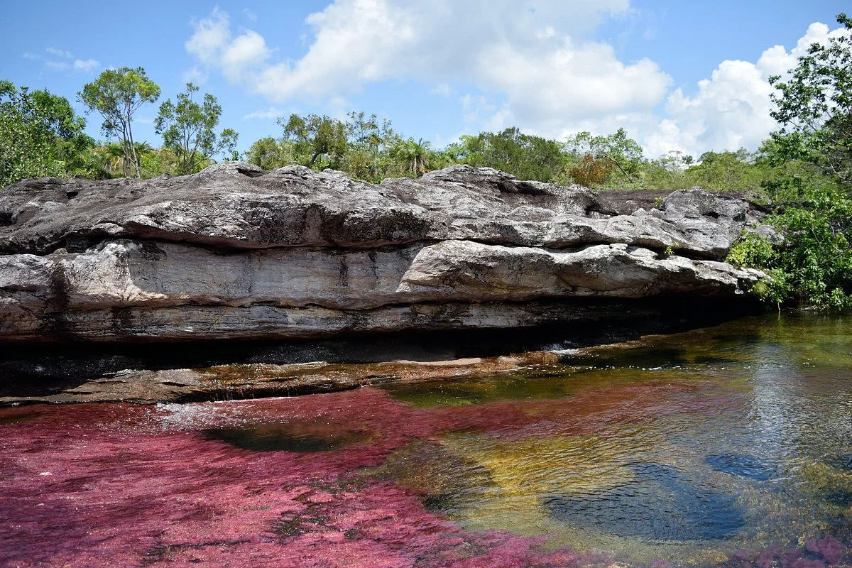 Cristales Tinigua Tour