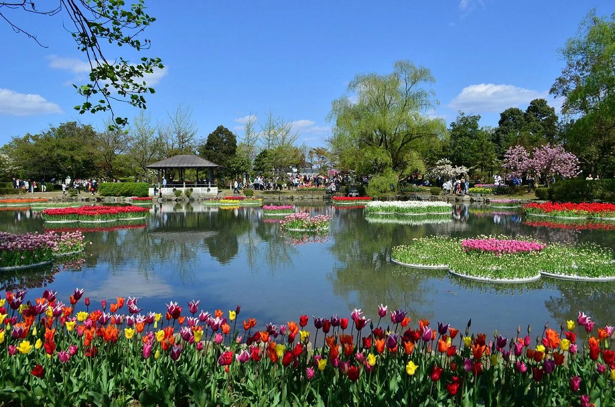 Tonami Tulip Gallery
