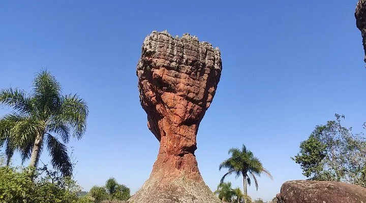 Loja Novo Visual