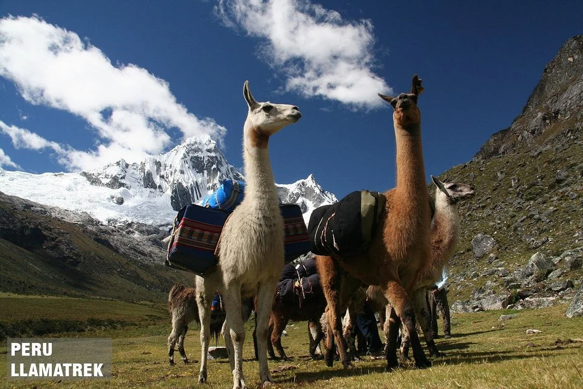 Peru Llamatrek