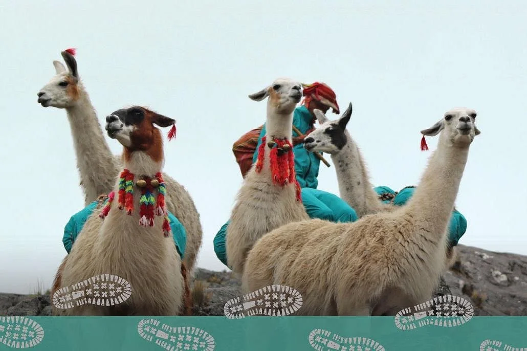 Trekkings In Peru
