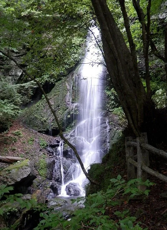 Ryushun Fall