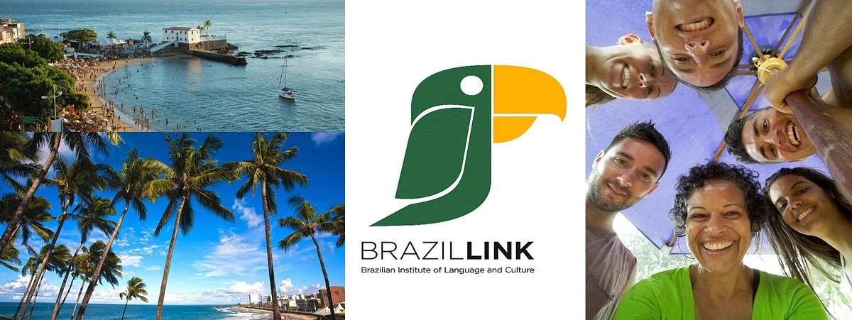 BrazilLink
