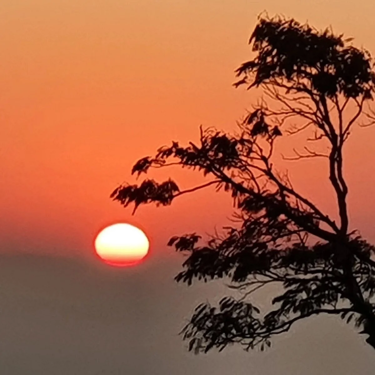 Pedra Da Lua