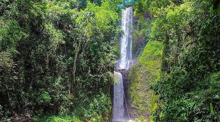 Varejão Municipal Paulista
