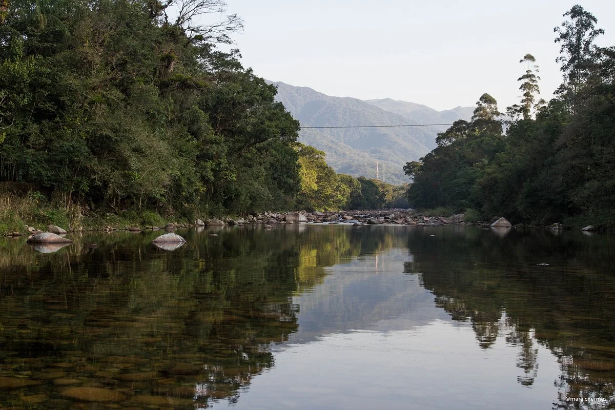 Ponte Invertida