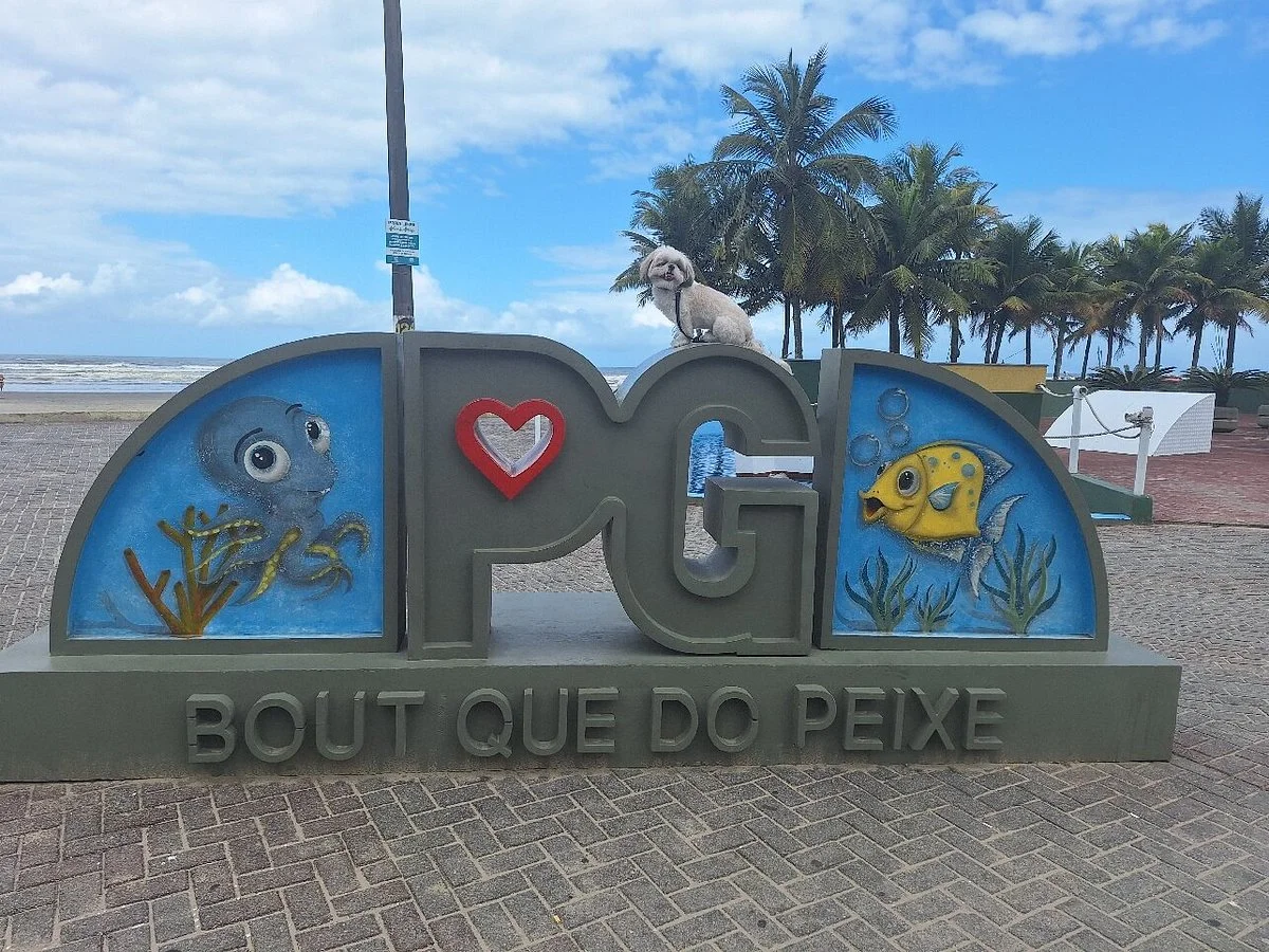 Boutique Do Peixe - Ocian