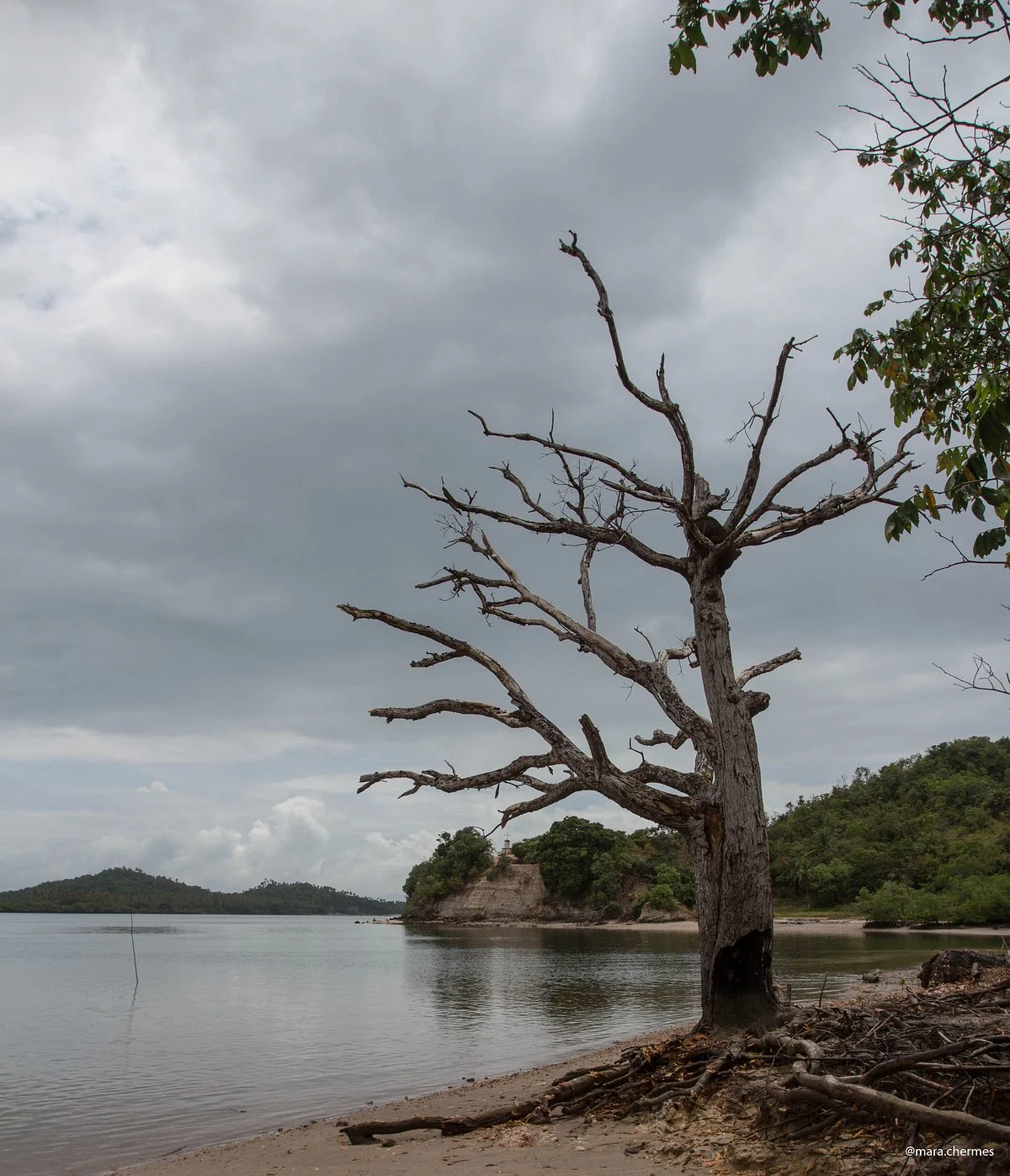 Praia Da Pedra